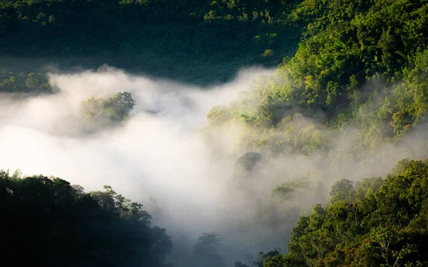 Aerial View Fog Touching Sunlight Covered Tree Area Tropical Rainforest — Stockfoto