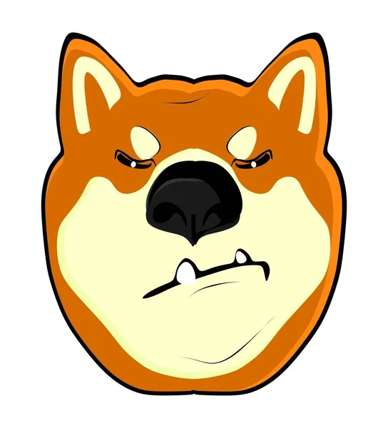 Angry Face Shiba Inu — Foto de Stock