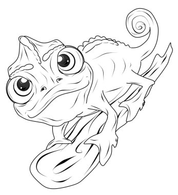 Renkli bukalemun seni.