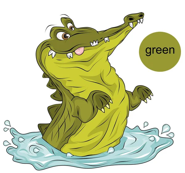 Grünes Krokodil Hat Eine Grüne Farbe — Stockfoto