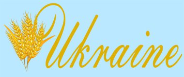 Ukrayna ve altın buğdayı