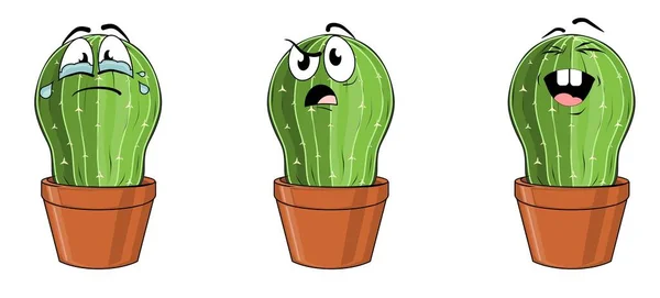 Kaktuszok Különböző Érzelmei — Stock Fotó