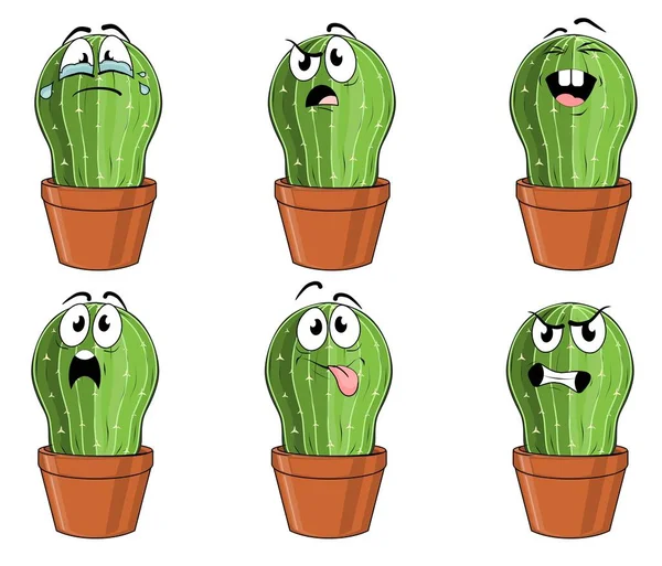 Különböző Zöld Kaktuszok — Stock Fotó