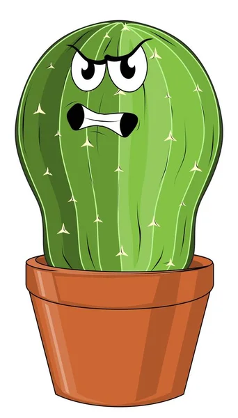 Zły Zielony Kaktusy Garnku — Zdjęcie stockowe