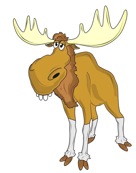 Funny Elk Big Teeth — Stock Photo, Image