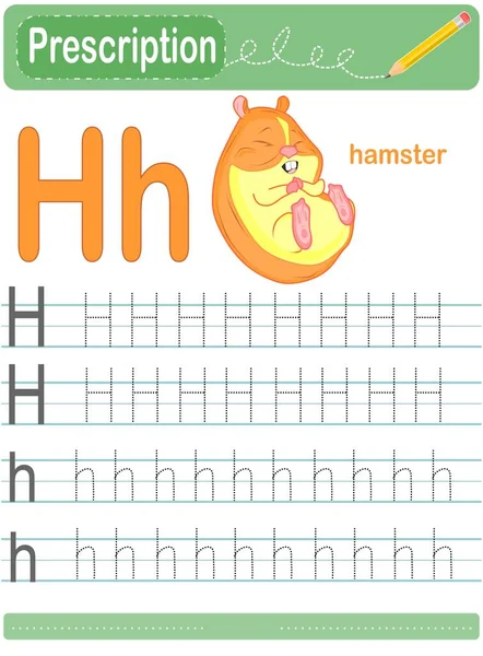 För Fett Hamster — Stockfoto