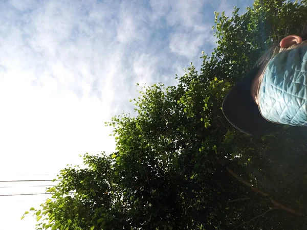 そうだな 日当たりの良い木シリーズ1の光線の下 — ストック写真