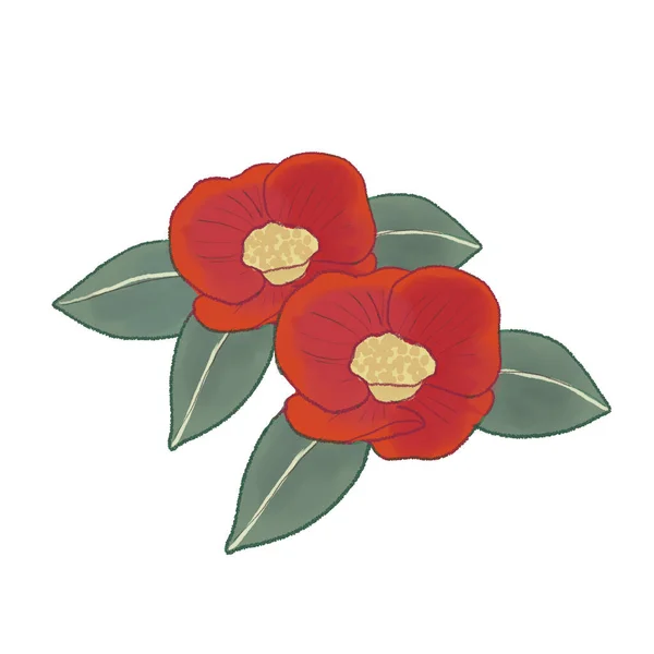 Camellia Sur Fond Blanc — Image vectorielle