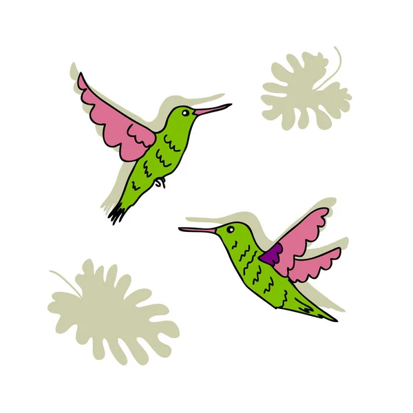 Colibris Volants Dessinés Main Avec Des Feuilles Tropicales Parfait Pour — Image vectorielle