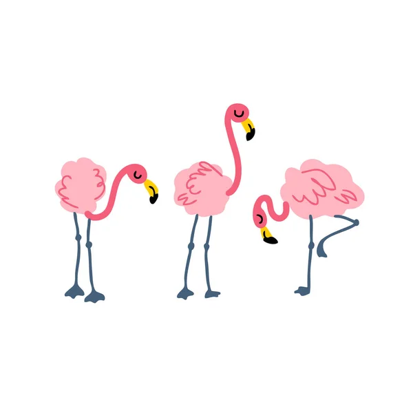 Mão Desenhada Três Flamingo Rosa Perfeito Para Camiseta Cartaz Cartão — Vetor de Stock