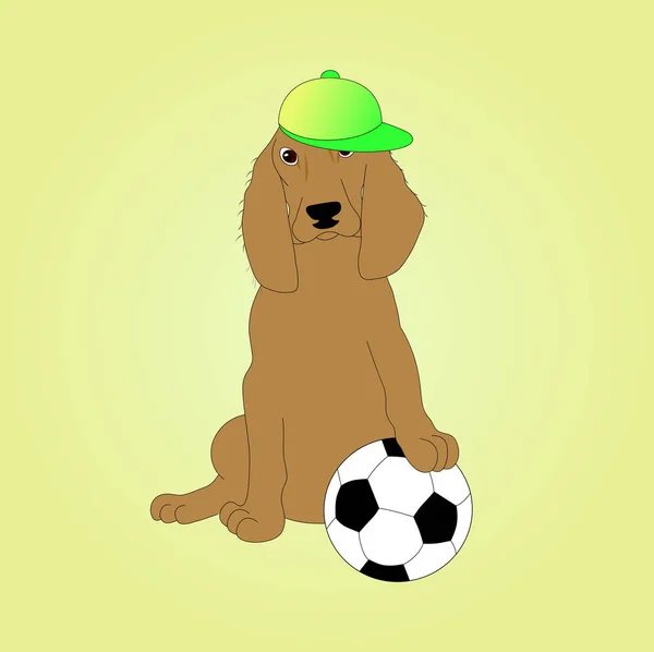 一只头戴帽子 头戴足球的猎犬 — 图库矢量图片