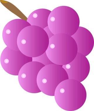   Vektörde mor üzüm simgesi