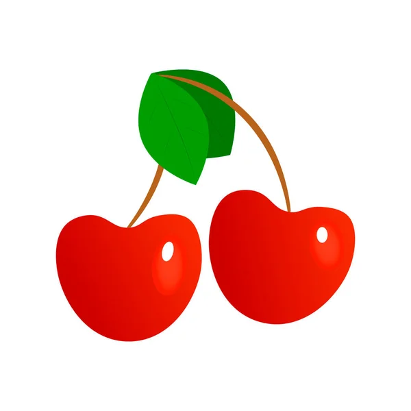 Cherry Illustration Vector — Stock Vector