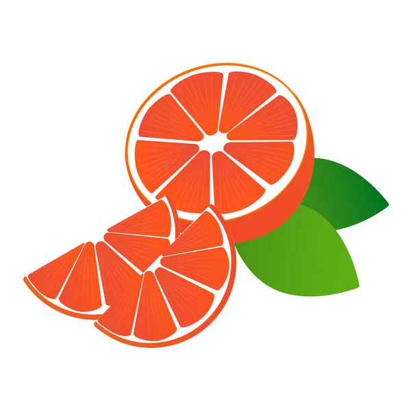 Scheiben Grapefruit Vektor — Stockvektor