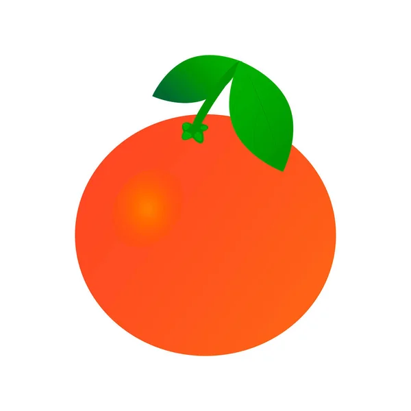 Eine Grapefruit Mit Blättern Vektor — Stockvektor