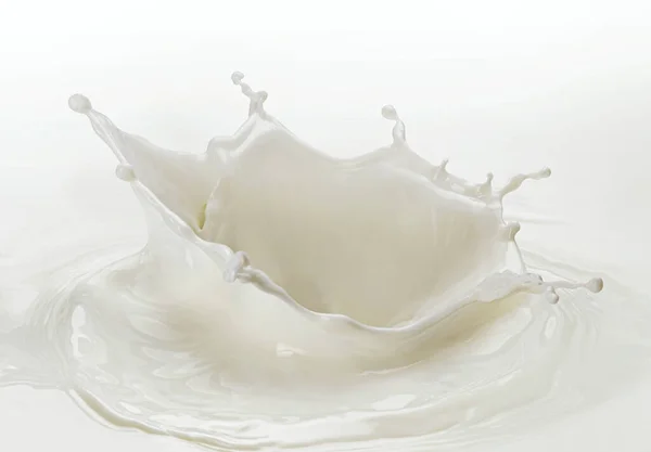Melkdruppel met spatten op witte achtergrond — Stockfoto