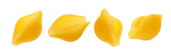 Striped shell pasta isolated on white background — Stock Photo, Image