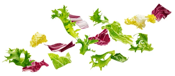 Ingredientes alimentares saudáveis, folhas de salada caindo — Fotografia de Stock