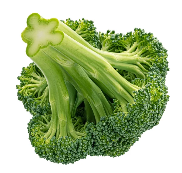 Broccoli isolerad på vit bakgrund — Stockfoto