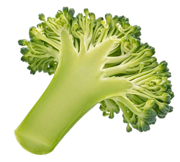 Broccoli skiva isolerad på vit bakgrund — Stockfoto