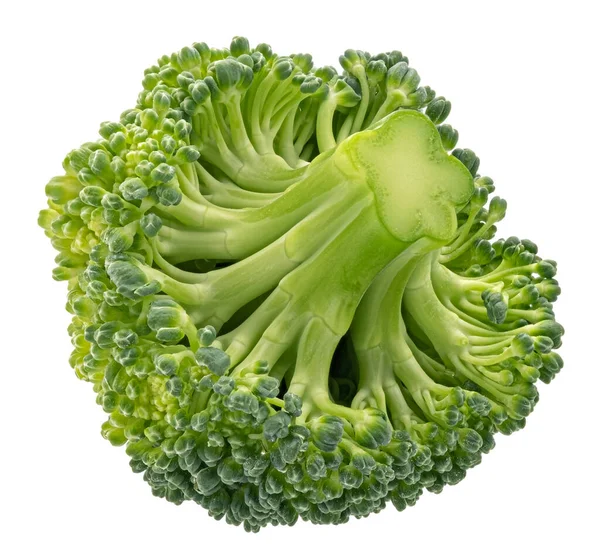 Broccoli geïsoleerd op witte achtergrond — Stockfoto