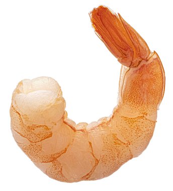 Karides. Beyaz arkaplanda karides izole