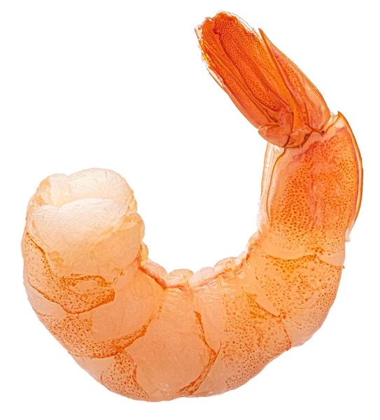 虾仁。被白色背景隔离的大虾 — 图库照片