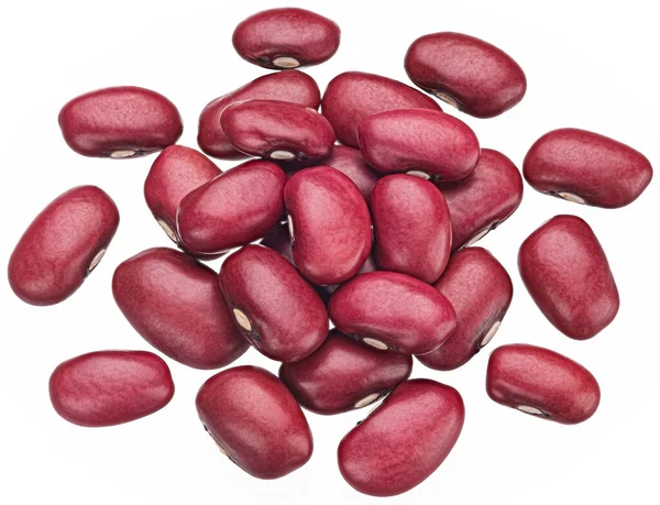 Червоні боби в нирках ізольовані на білому тлі з відсічним контуром — стокове фото
