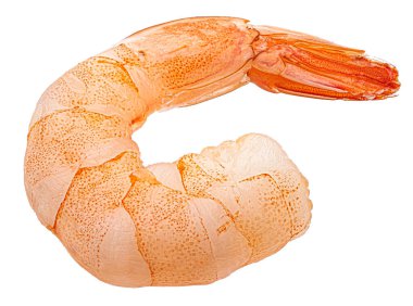 Karides. Beyaz arkaplanda karides izole