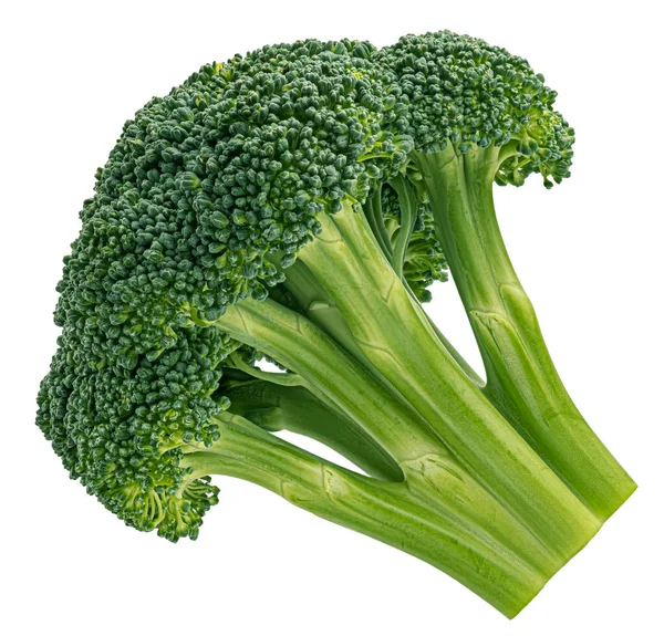 Broccoli Geïsoleerd Witte Achtergrond Volle Velddiepte — Stockfoto