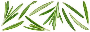 Biberiye kırpma yolu ile beyaz arkaplanda izole edildi