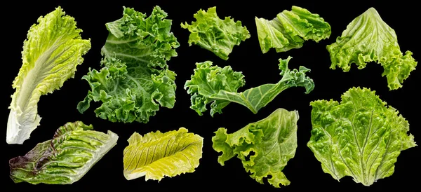 Insamling Salladsblad Isolerade Svart Bakgrund Blandning Färsk Sallad Rucola Grönkål — Stockfoto