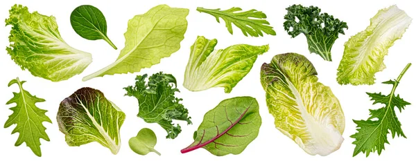Fallende Salatblätter Isoliert Auf Weißem Hintergrund Mischung Aus Frischem Salat — Stockfoto