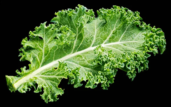 Kale Krullende Salade Blad Geïsoleerd Zwarte Achtergrond Bovenaanzicht Volledige Scherptediepte — Stockfoto