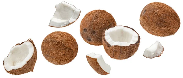 Falling Coconuts Isolated White Background Clipping Path Full Depth Field — Stock Photo, Image