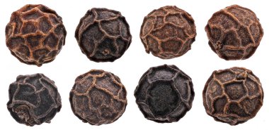 Biber koleksiyonu. Siyah biber beyaz arka planda izole edilmiş. Tüm alan derinliğiyle Macro