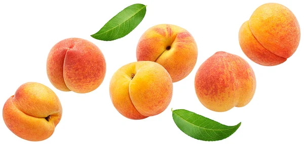 Falling Apricots Isolated White Background Clipping Path — Stock Photo, Image