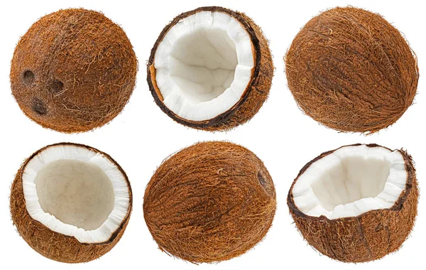Coconuts Isolated White Background Clipping Path — Stock Photo, Image
