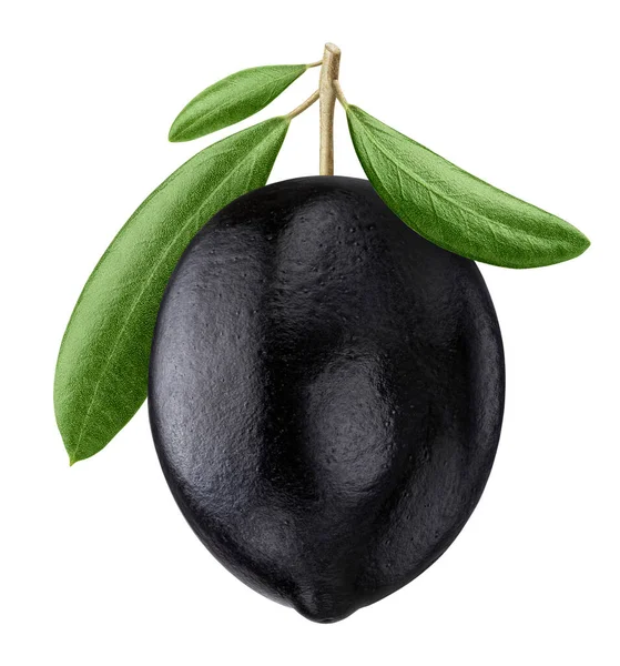 Eine Schwarze Olive Isoliert Auf Weißem Hintergrund Mit Clipping Pfad — Stockfoto