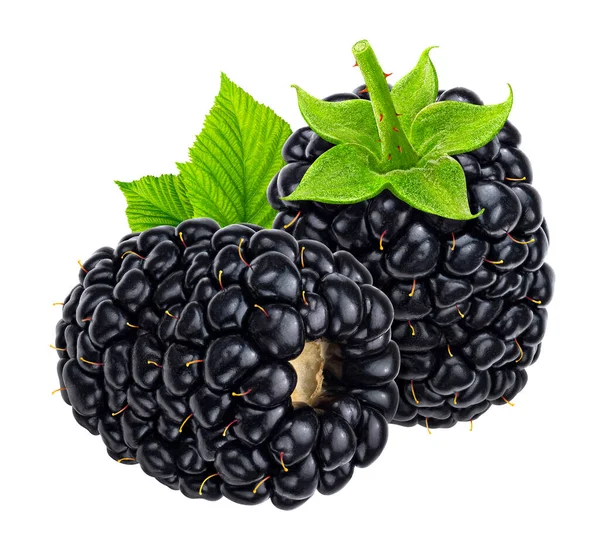 Blackberry Izolowane Białym Tle Ścieżką Wycinania Pełna Głębia Pola — Zdjęcie stockowe