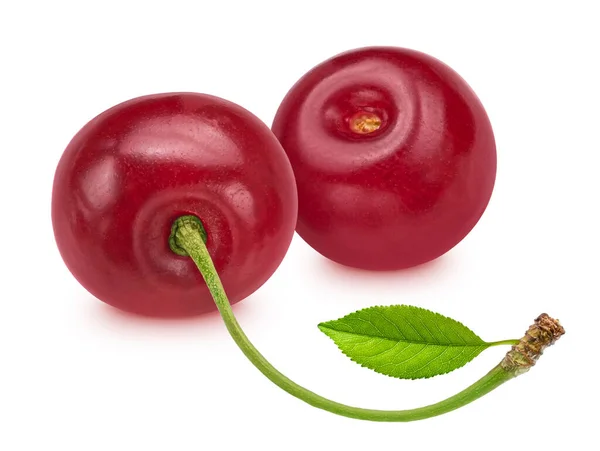 Two Cherries Isolated White Background Clipping Path — Stock Photo, Image