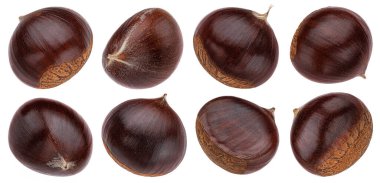 Kestaneler kırpma yolu ile beyaz arkaplanda izole edilmiş, tam alan derinliği