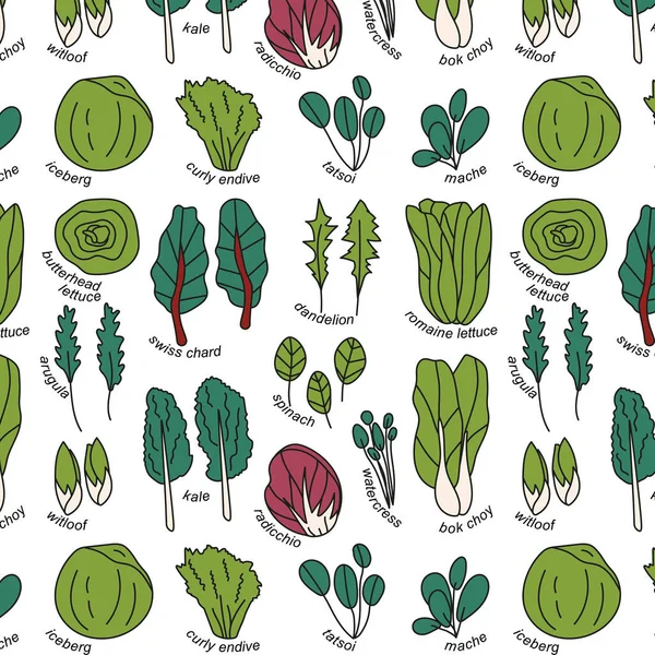 Motif Sans Couture Avec Différents Types Salade Avec Des Titres — Image vectorielle