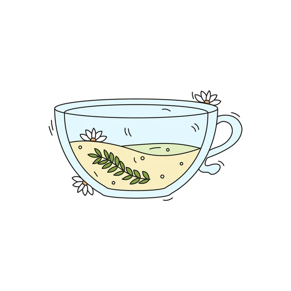 Tea Time Concept Hand Drawn Cute Glass Cup Herbal Tea — Stock Vector