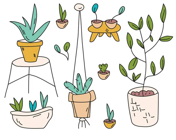 Conjunto Mão Desenhado Doodle Plantas Sala Bonitos Jardim Casa Ilustração — Vetor de Stock