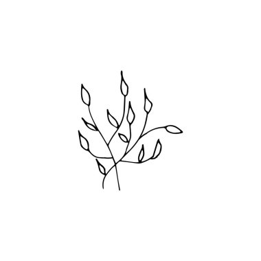 El çizimi karalama çiçek elementi, dekorasyon için soyut bitki, izole vektör illüstrasyonu