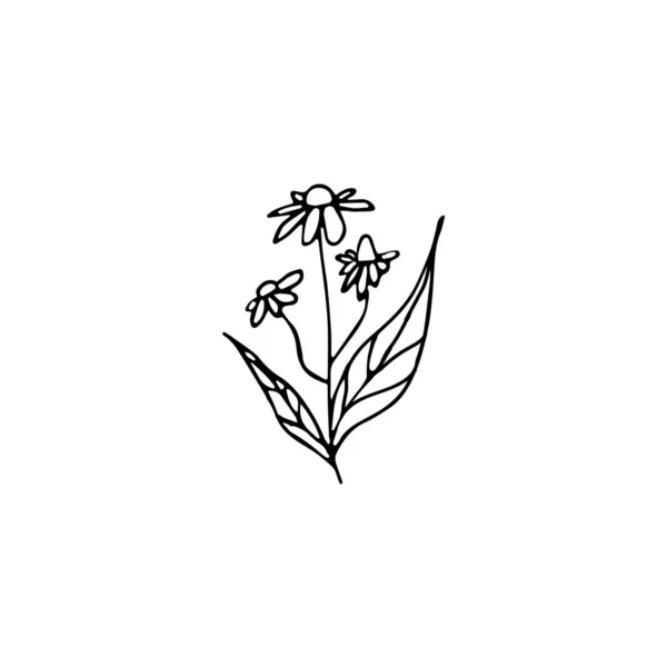 Handritade Doodle Blommigt Element Abstrakt Växt För Dekoration Isolerad Vektor — Stock vektor