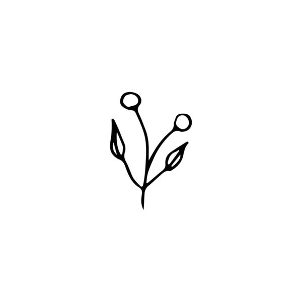Цветочный Элемент Ручной Работы Абстрактное Растение Украшения Изолированная Векторная Иллюстрация — стоковый вектор