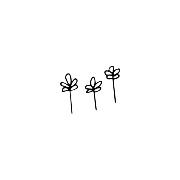 Handritade Doodle Blommigt Element Abstrakt Växt För Dekoration Isolerad Vektor — Stock vektor