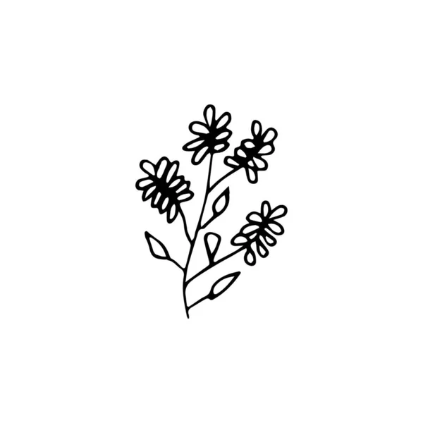 Elemento Floral Doodle Desenhado Mão Planta Abstrata Para Decoração Ilustração — Vetor de Stock